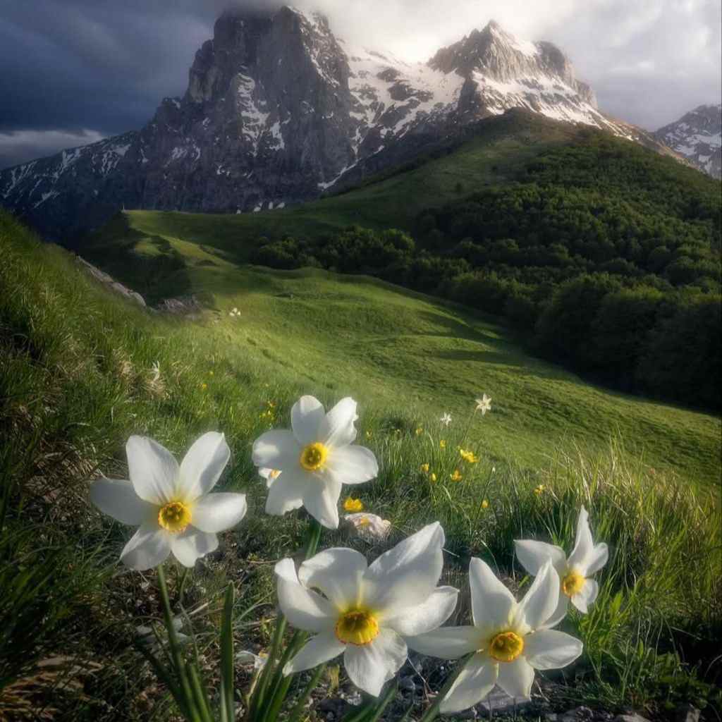 دانلود آهنگ ﺗﻮ ﻛﻪ ﺧﻮﺷﮕﻞ و ﺷﻬﺮه ﻋﺎﻟﻤﻰ ﻋﺎﻟﻤﻰ دانلود آهنگ ﺗﻮ ﻛﻪ ﺧﻮﺷﮕﻞ و ﺷﻬﺮه ﻋﺎﻟﻤﻰ ﻋﺎﻟﻤﻰ